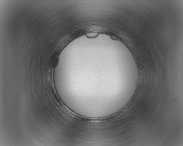 X0000052540361200507010825