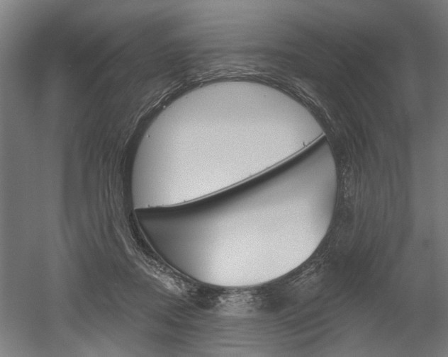 X0000052540362200507010825