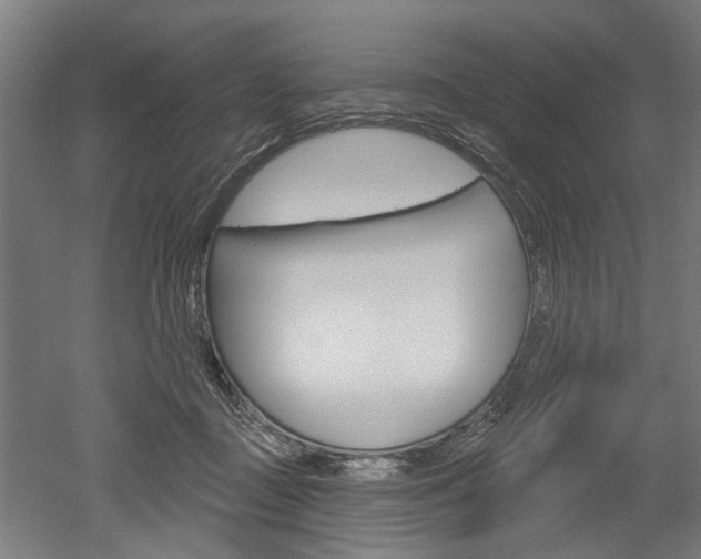 X0000052540363200507010825