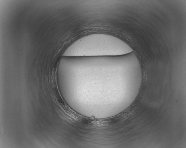 X0000052540367200507010825