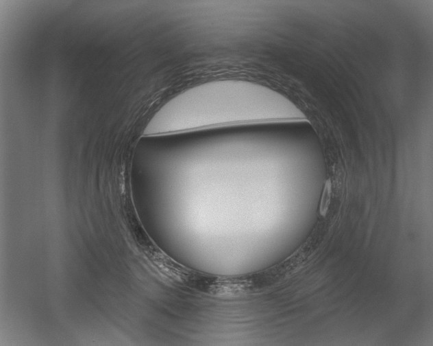 X0000052540368200507010825