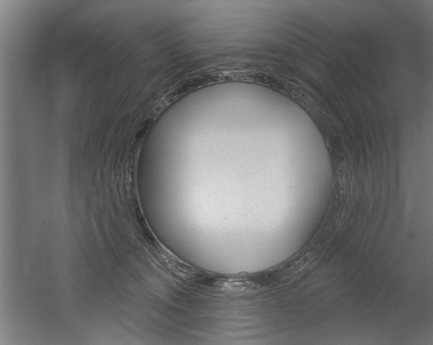 X0000052540372200507010825
