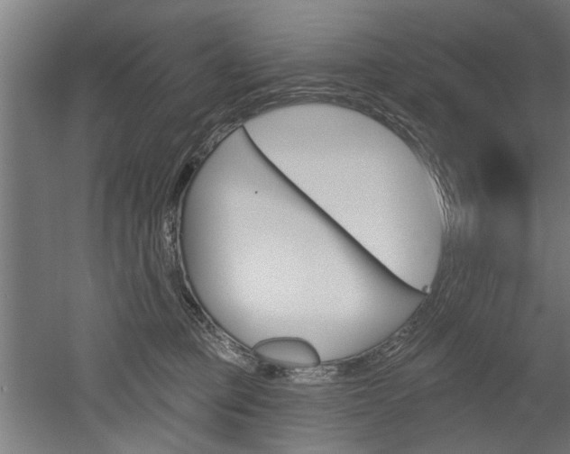 X0000052540373200507010825