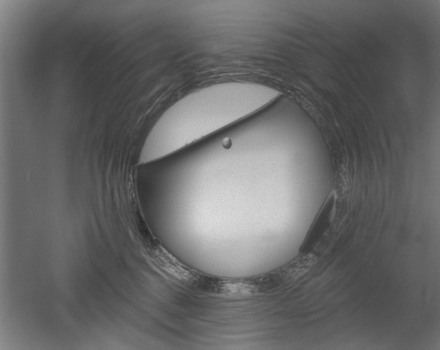 X0000052540376200507010825