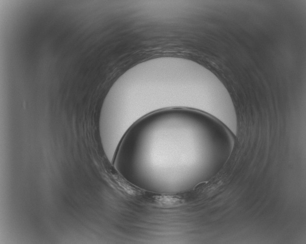 X0000052540380200507010825