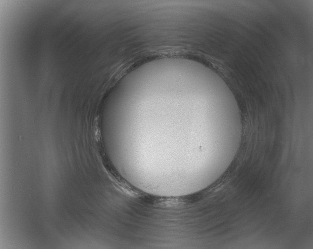 X0000052540383200507010825