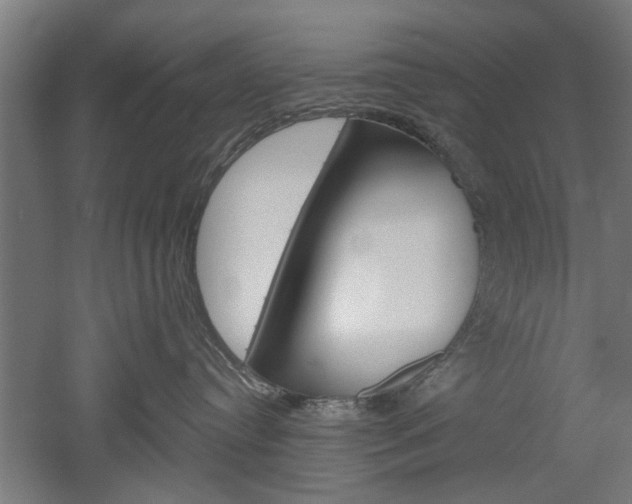 X0000052540384200507010825