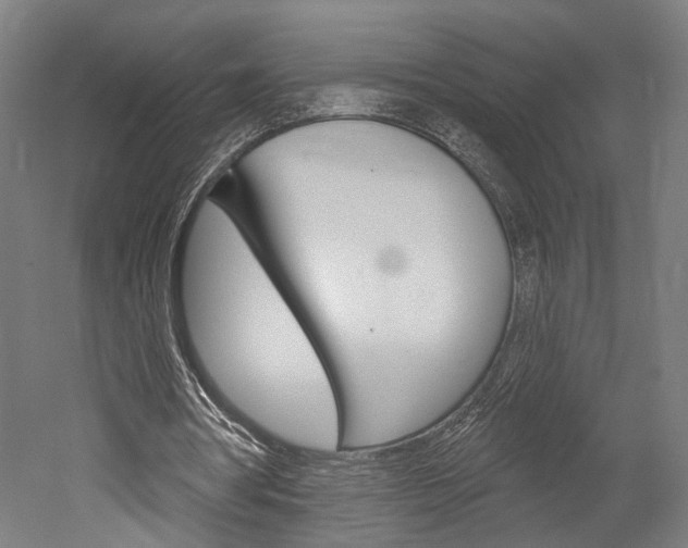 X0000052540386200507010824