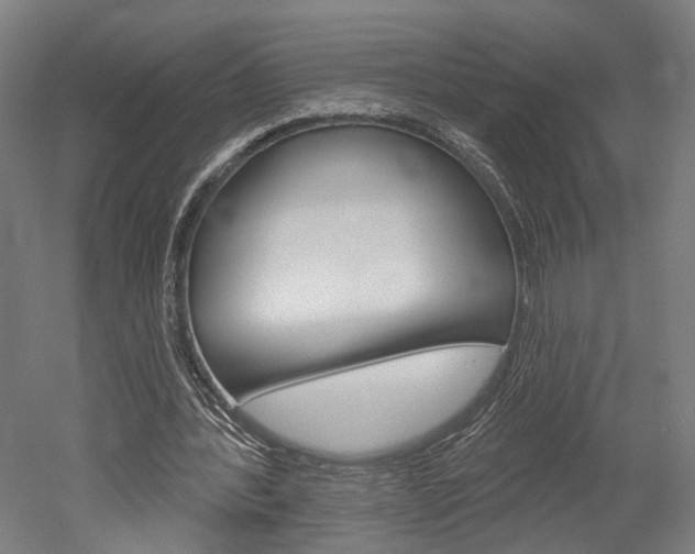X0000052540388200507010824