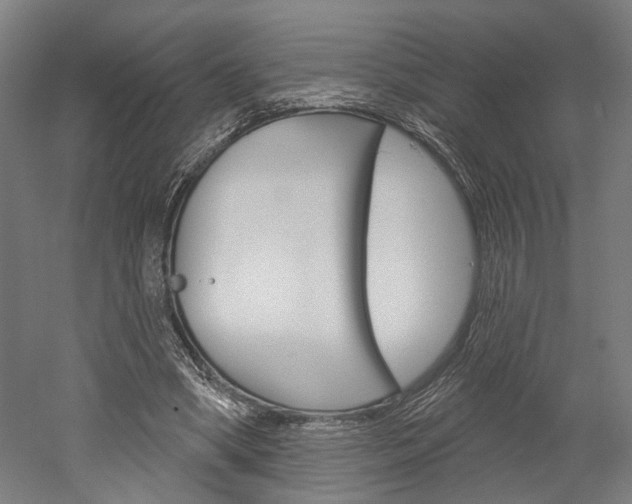 X0000052540394200507010824