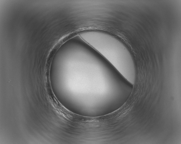 X0000052540395200507010824
