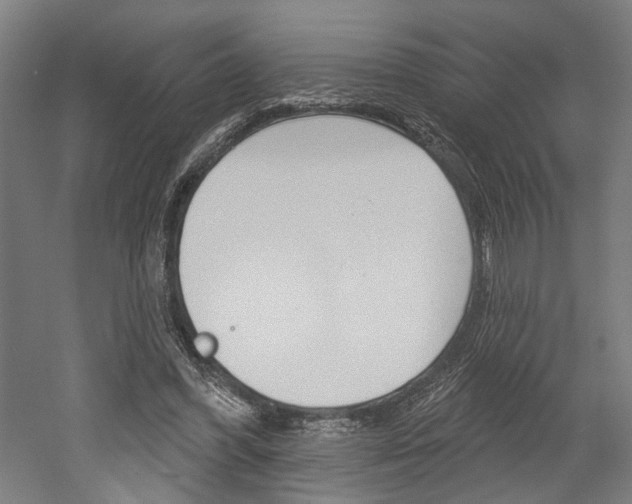 X0000052540396200507010824