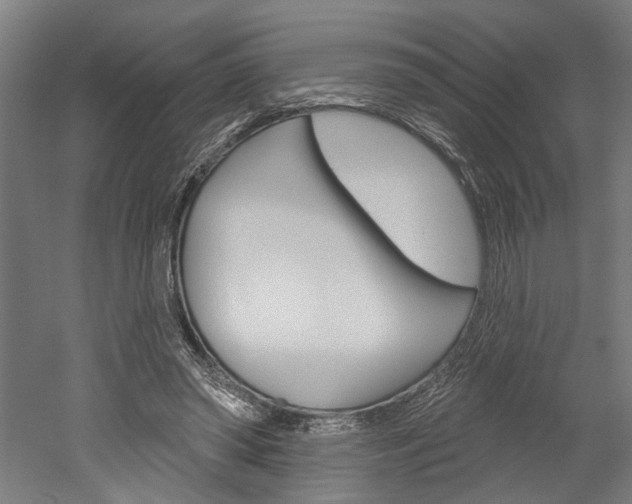 X0000052540398200507010824