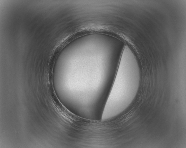 X0000052540399200507010824