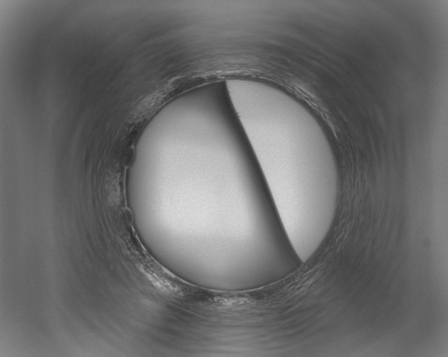 X0000052540401200507010824