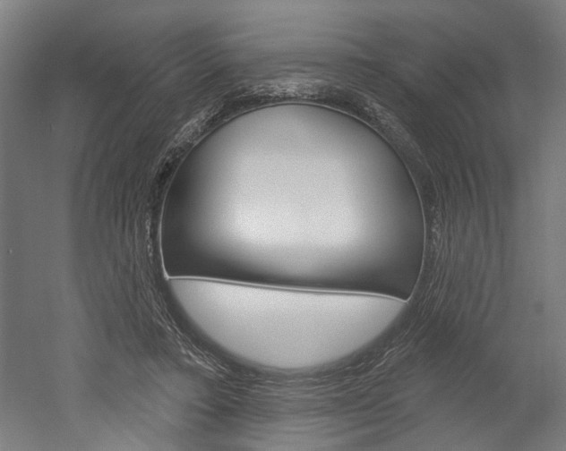 X0000052540403200507010824