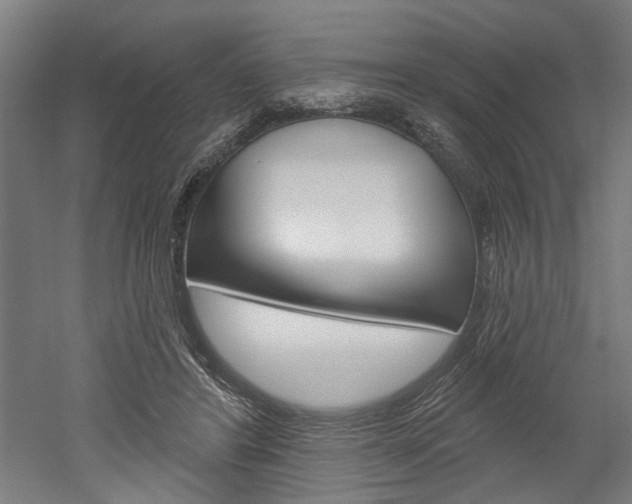 X0000052540404200507010824