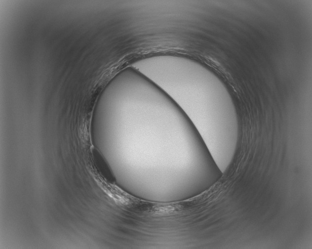 X0000052540405200507010824