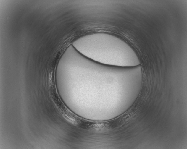 X0000052540406200507010824