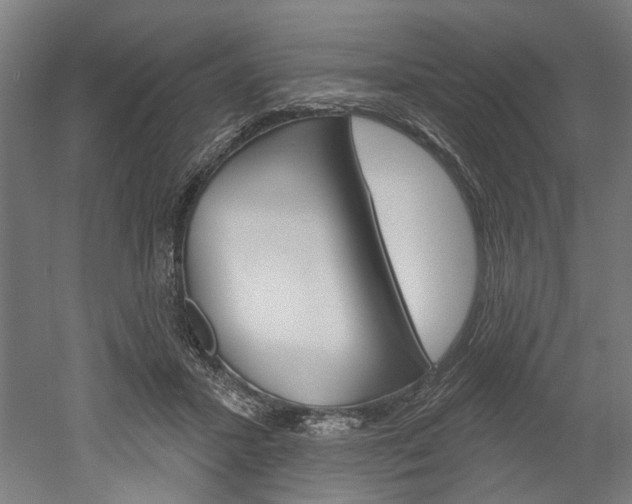 X0000052540407200507010824