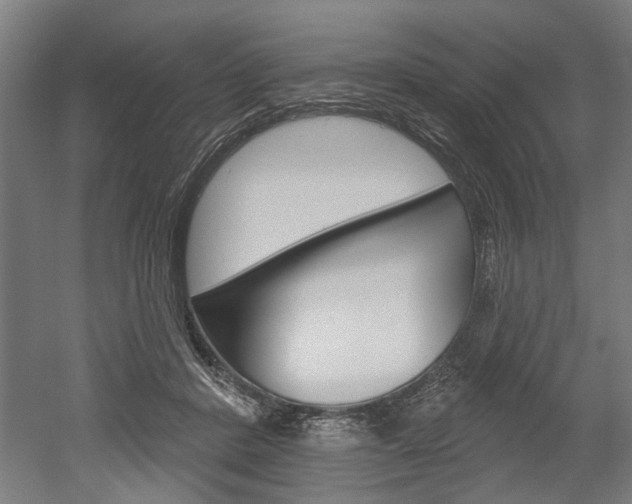 X0000052540408200507010824