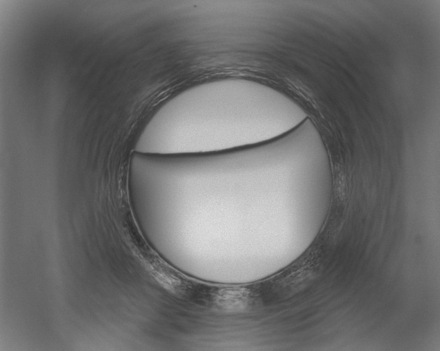 X0000052540410200507010824