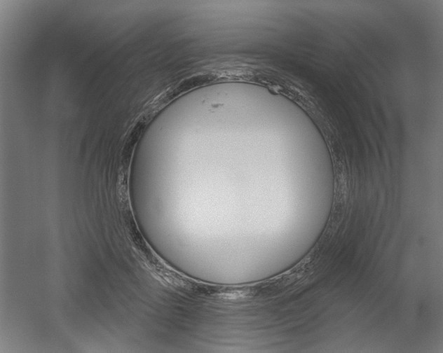 X0000052540411200507010824