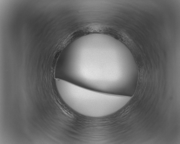 X0000052540413200507010824