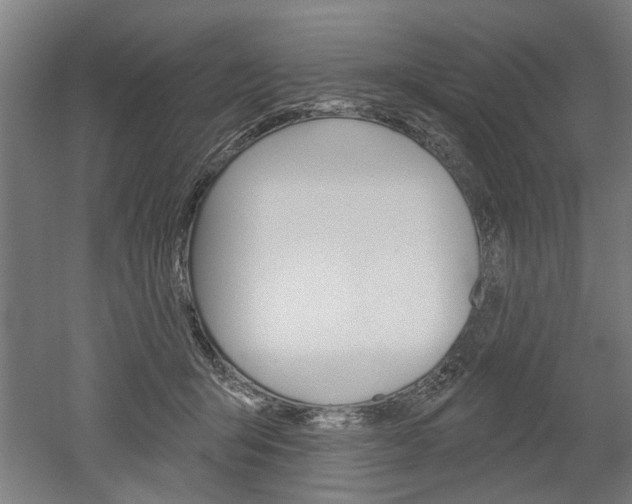 X0000052540415200507010824