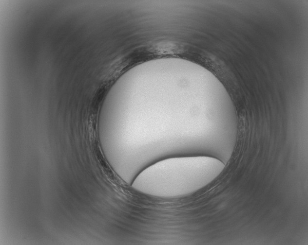 X0000052540422200507010824