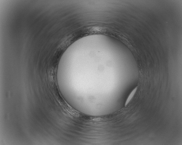X0000052540423200507010824