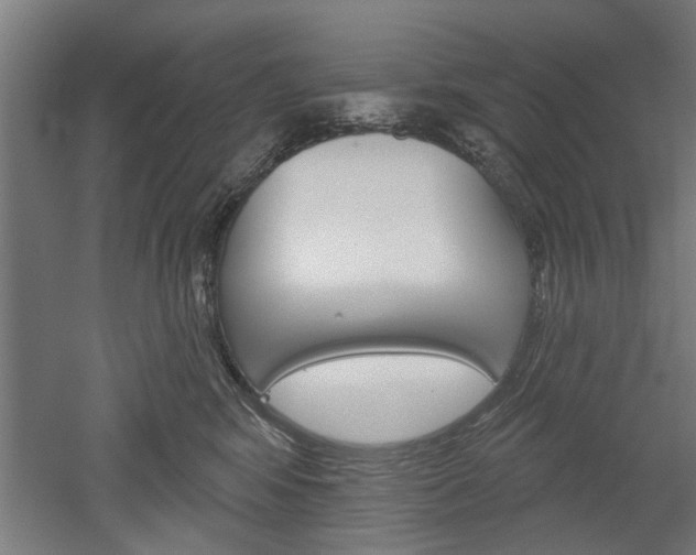 X0000052540424200507010824
