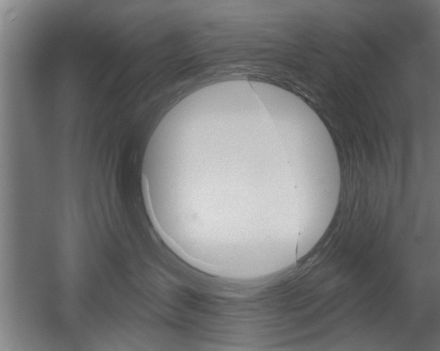 X0000052540431200507010824