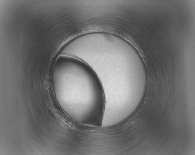 X0000052540434200507010823