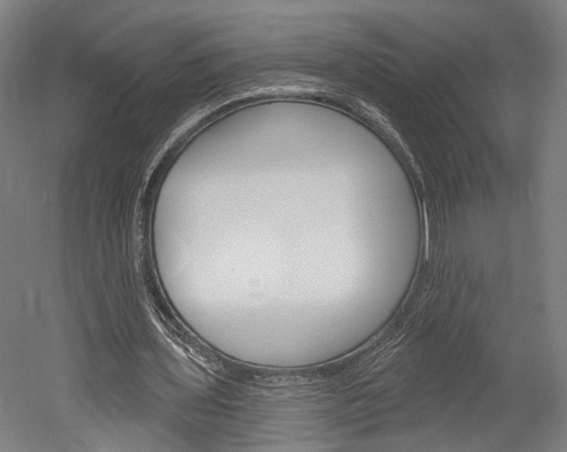 X0000052540435200507010823