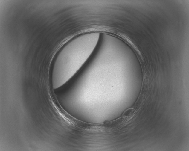 X0000052540437200507010823