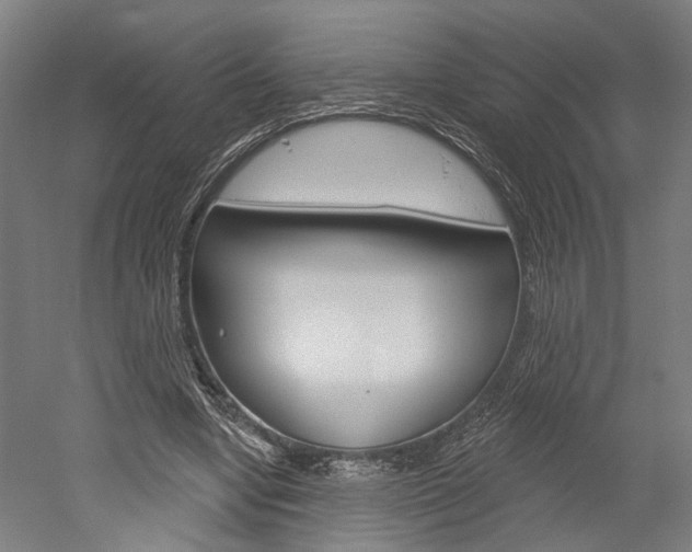 X0000052540442200507010823