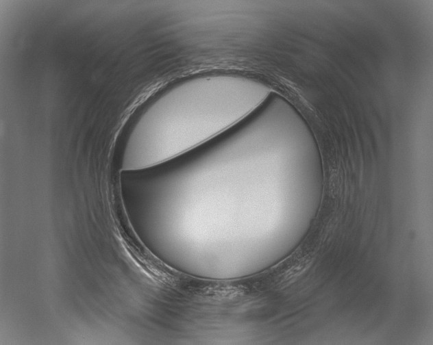 X0000052540443200507010823