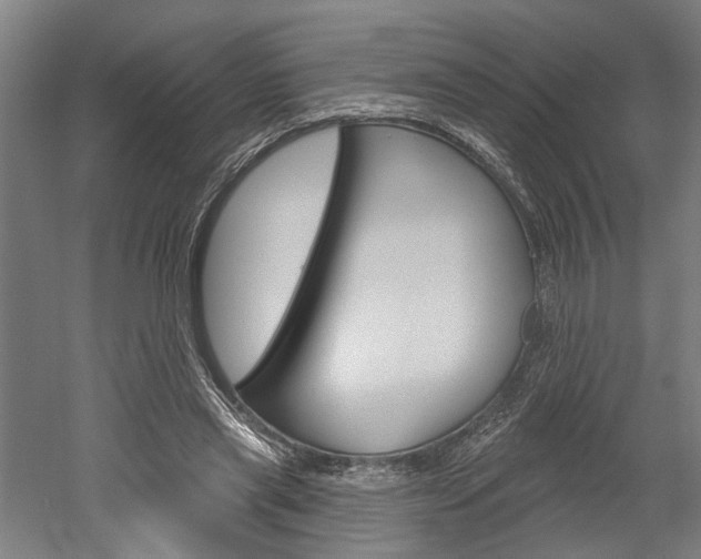 X0000052540445200507010823