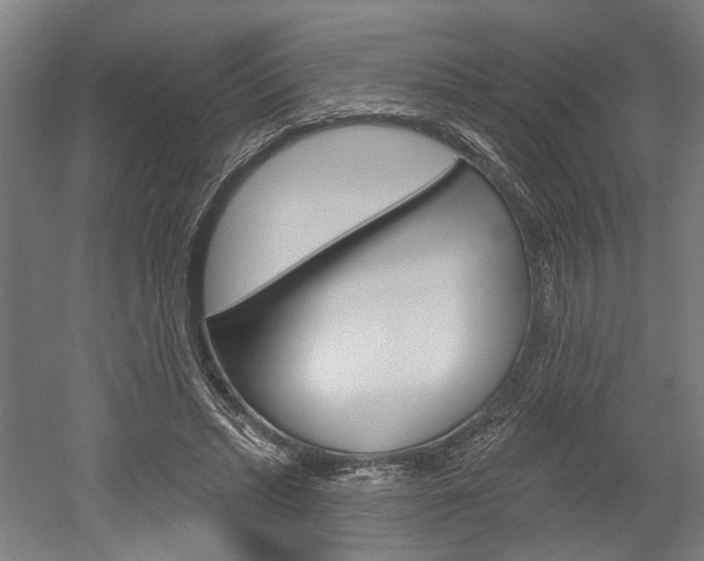 X0000052540447200507010823