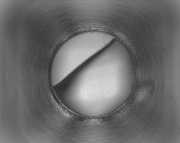 X0000052540449200507010823