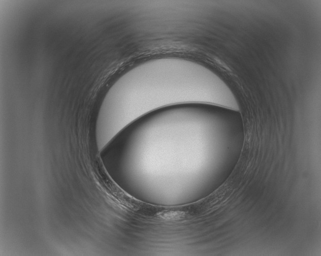 X0000052540452200507010823