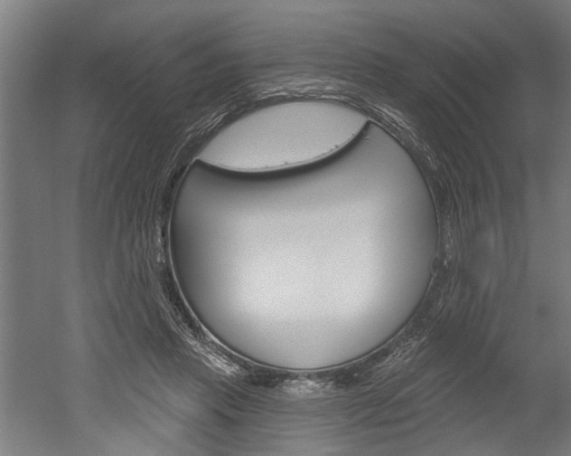 X0000052540453200507010823