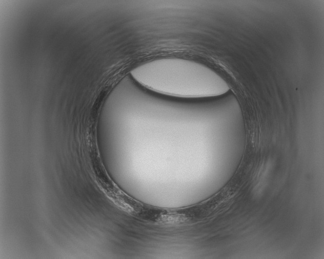 X0000052540455200507010823