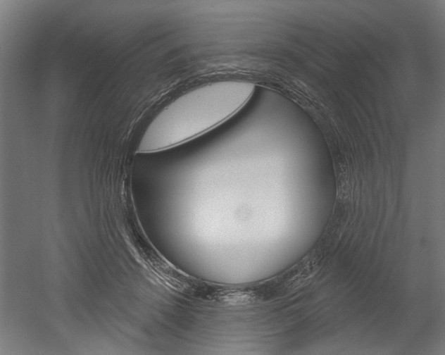 X0000052540456200507010823