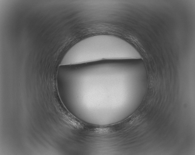 X0000052540457200507010823