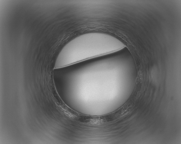 X0000052540458200507010823
