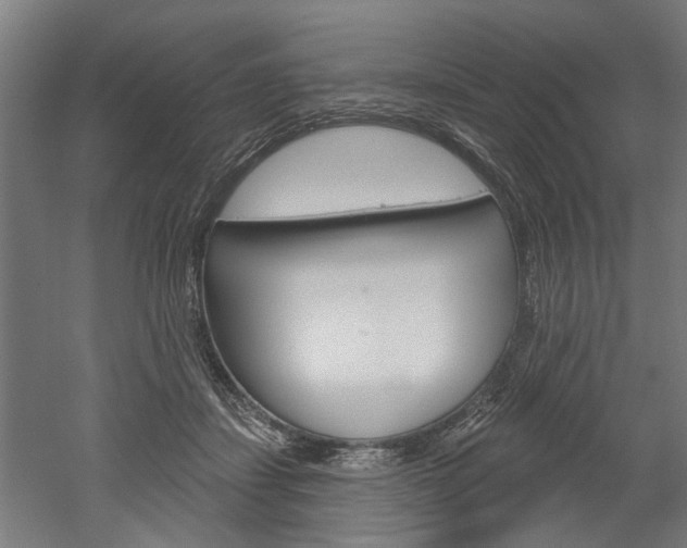 X0000052540459200507010823