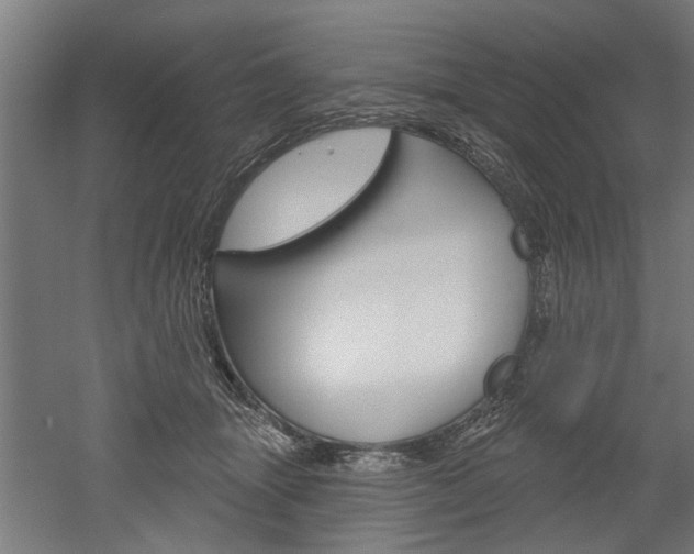 X0000052540463200507010823
