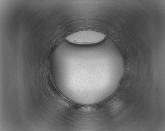 X0000052540464200507010823
